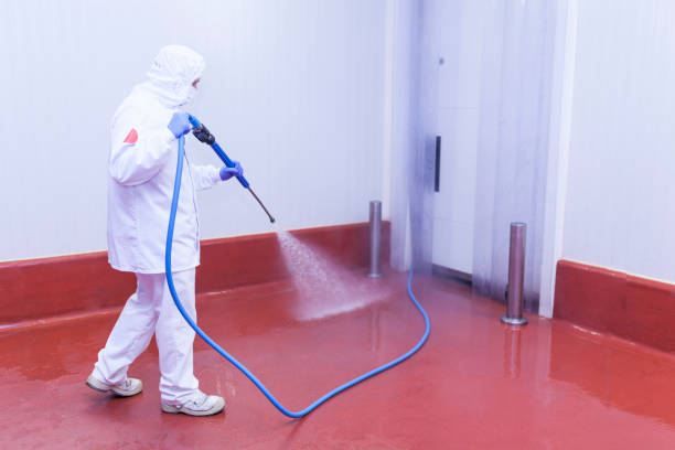 Best Fleet Vehicle Washing  in Centre Hall, PA